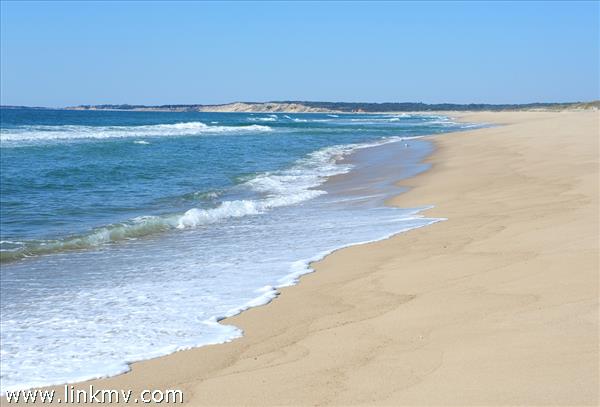 7 Black Point Road Chilmark, MA 02535 - Photo 5 of 44 a view of an ocean beach