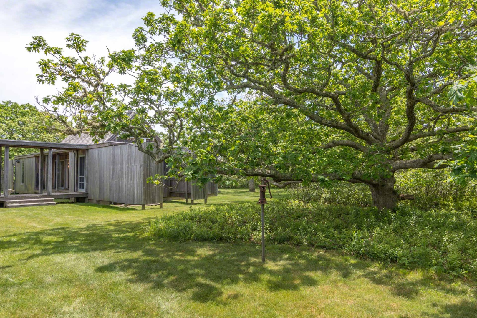 7 Black Point Road Chilmark, MA 02535 - Photo 41 of 44 a view of a back yard