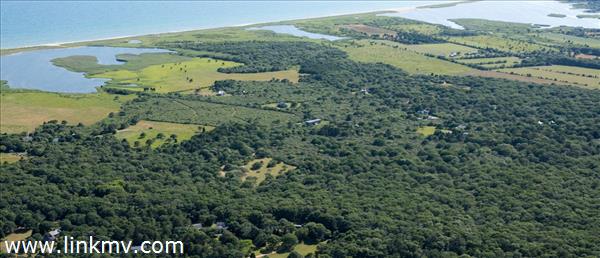 7 Black Point Road Chilmark, MA 02535 - Photo 44 of 44 a view of a lake with a mountain