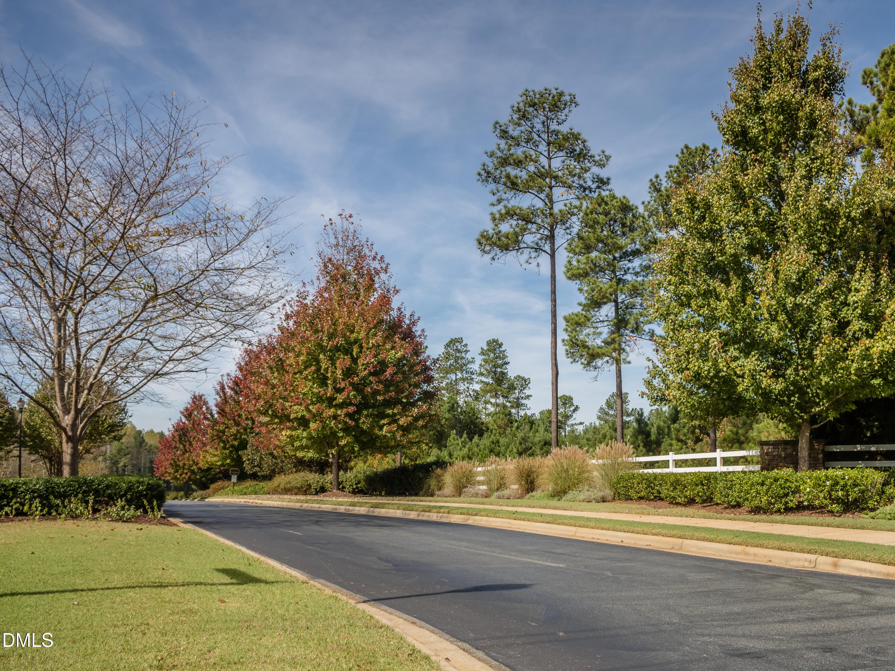 558 Chapel Ridge Drive Pittsboro, NC 27312 - Photo 7 of 47 a view of a yard in front of a house