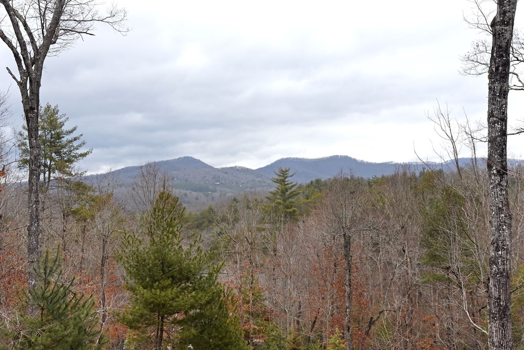 120 Aska Frst Trail Blue Ridge, GA 30513 - Photo 4 of 56