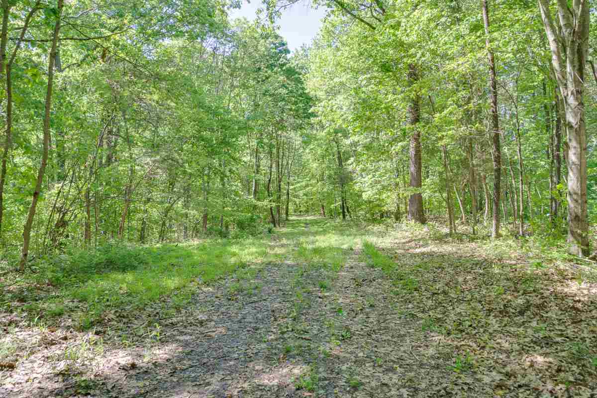 4625 East Stipp Road Bloomington, IN 47401 - Photo 19 of 22