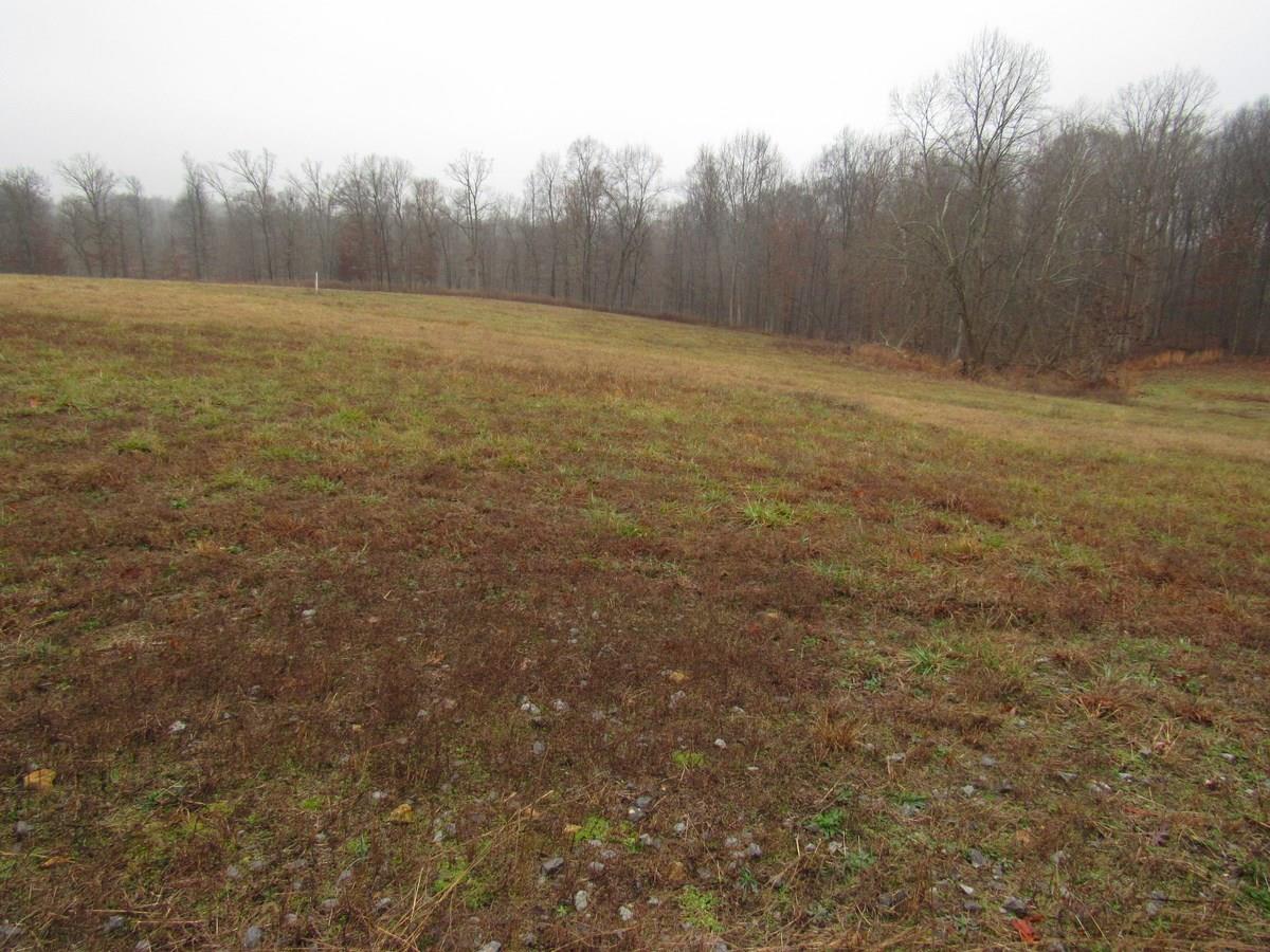 1438 D A B Ab Wade Road Portland, TN 37148 - Photo 2 of 4 Gallery Image 2