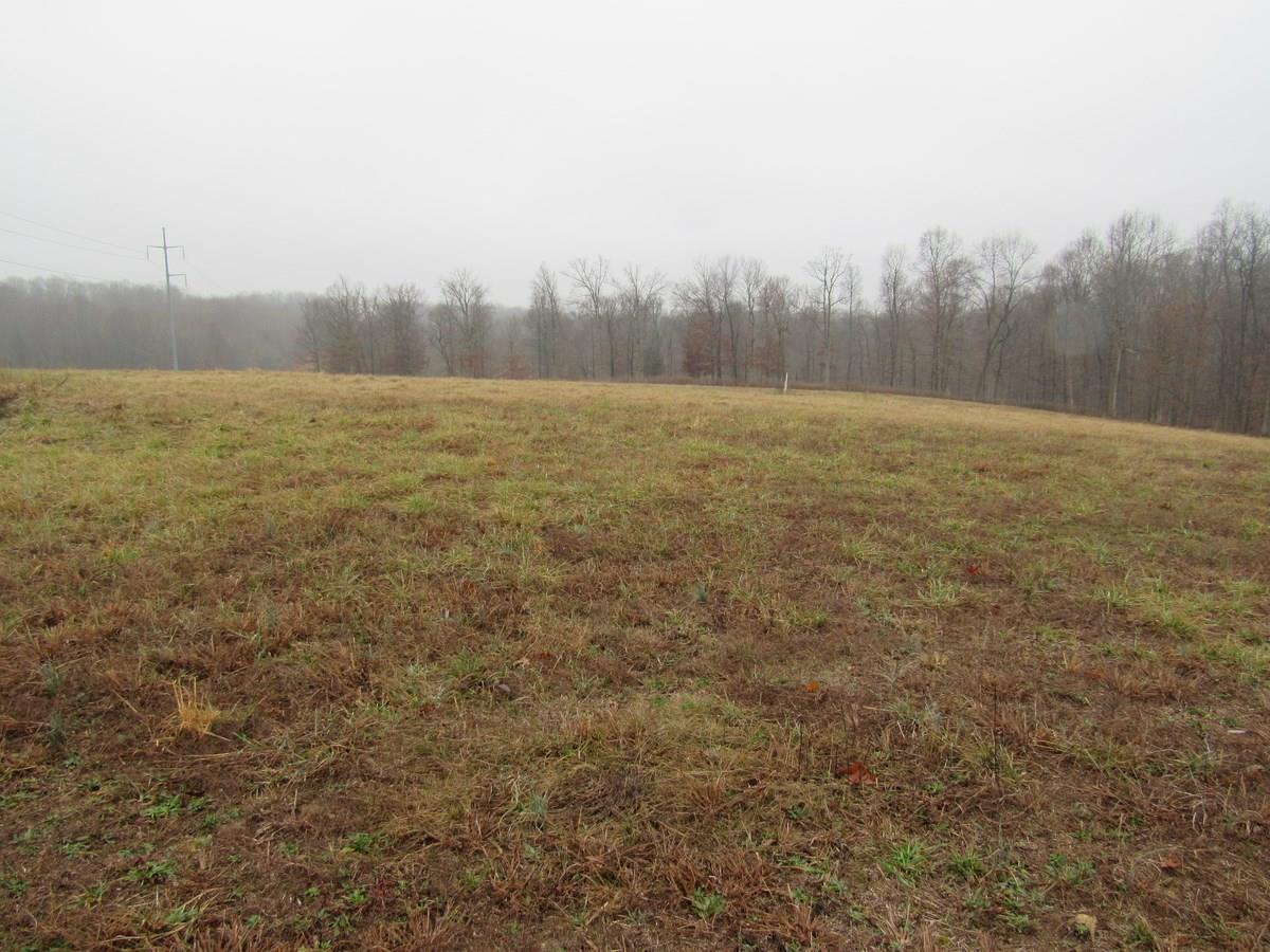 1438 D A B Ab Wade Road Portland, TN 37148 - Photo 3 of 4 Gallery Image 3