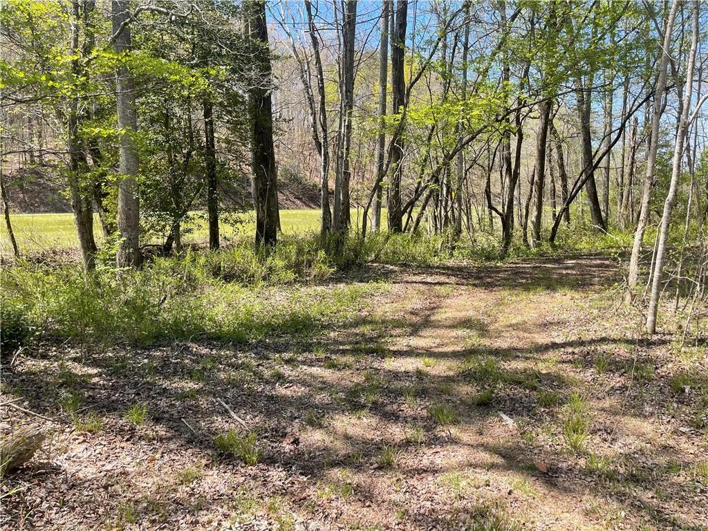 800 Rocky Fork Road Westminster, SC 29693 - Photo 12 of 19