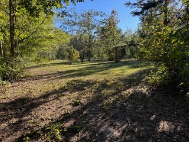 800 Rocky Fork Road Westminster, SC 29693 - Photo 15 of 19