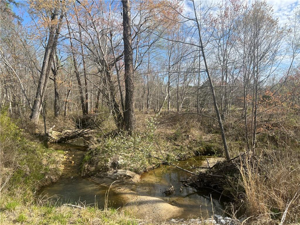 800 Rocky Fork Road Westminster, SC 29693 - Photo 4 of 19