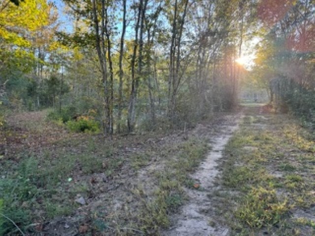 800 Rocky Fork Road Westminster, SC 29693 - Photo 6 of 19