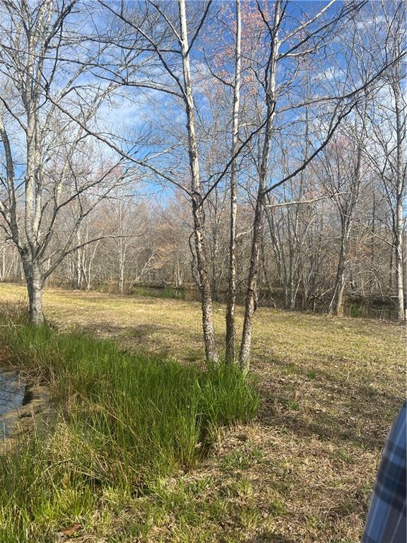 800 Rocky Fork Road Westminster, SC 29693 - Photo 10 of 19