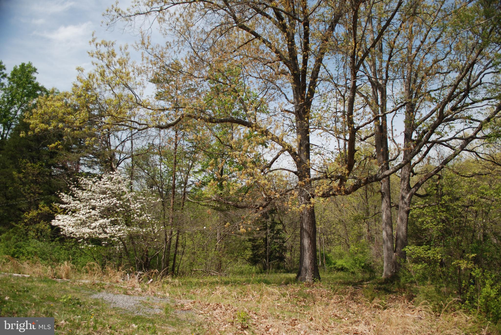 178 Snake Road Front Royal, VA 22630 - Photo 3 of 3 Gallery Image 3