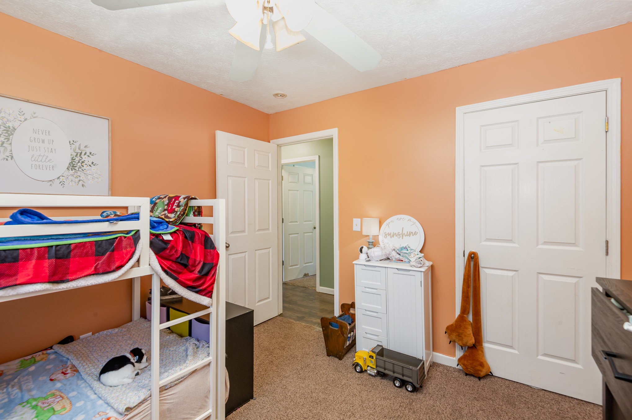426 Dorris Road Portland, TN 37148 - Photo 16 of 24
