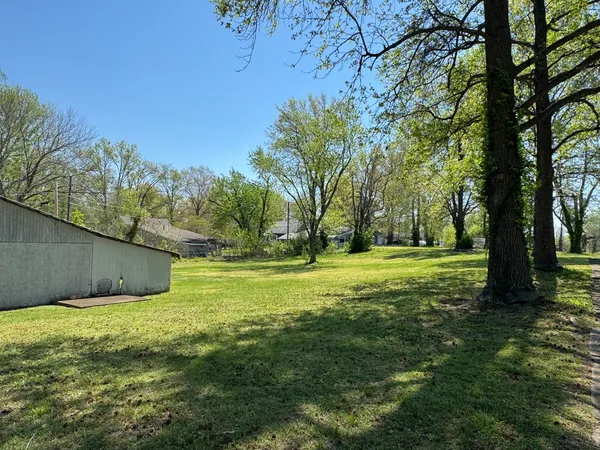 a view of a trees with a yard