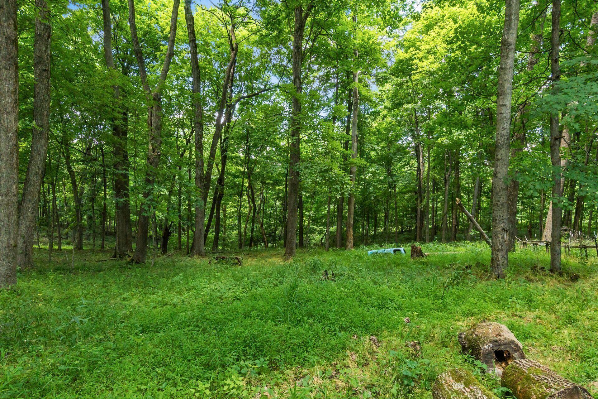 13807 Marshall Road Rockbridge, OH 43149 - Photo 17 of 33
