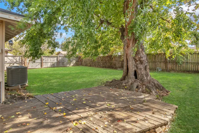 a view of a yard with a tree