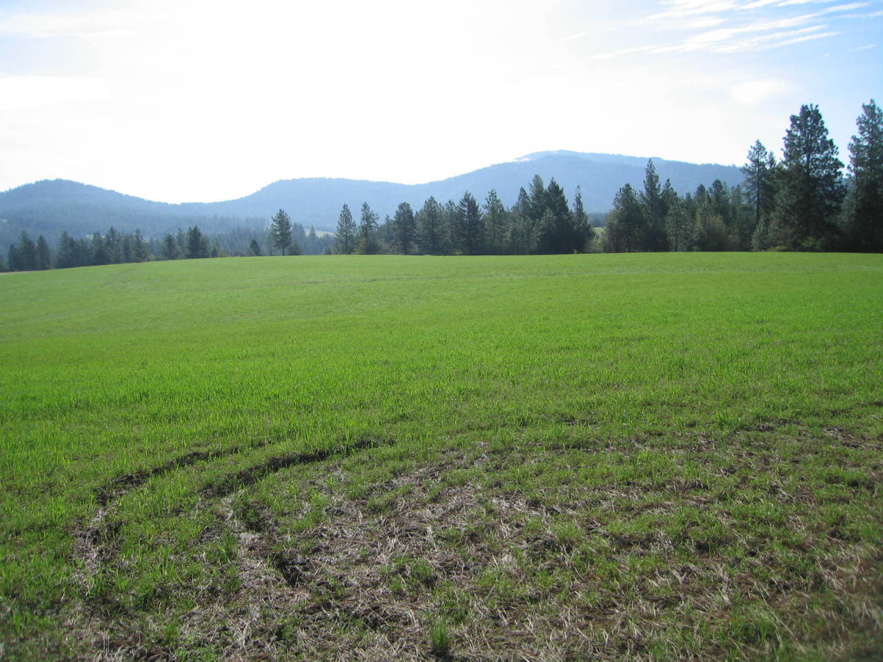 Larch Road St. Maries, ID 83861 - Photo 1 of 1 35 acres