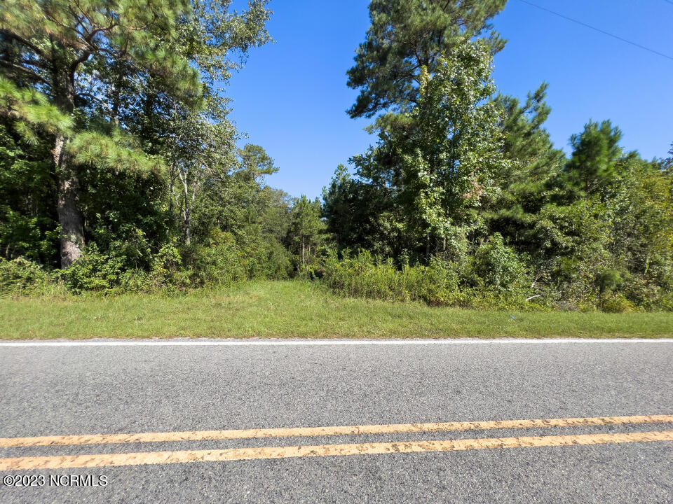 0 Trinity Church Road Magnolia, NC 28453 - Photo 21 of 47 21