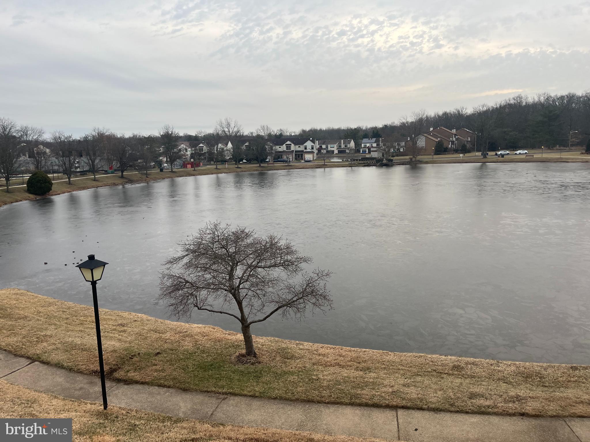 29 B East Daisy Lane Mount Laurel, NJ 08054 - Photo 10 of 14 a view of a lake with a yard and large trees