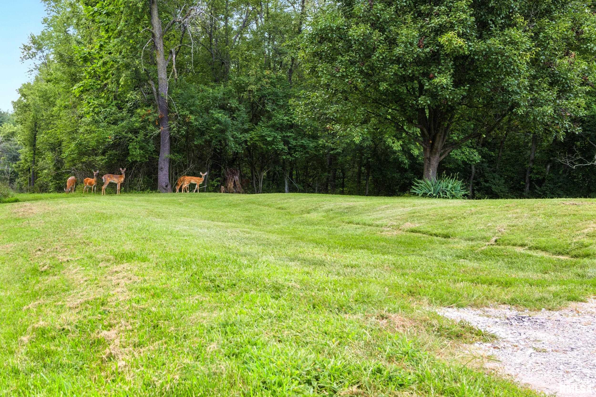 725 North Mechanic Street Macomb, IL 61455 - Photo 32 of 42