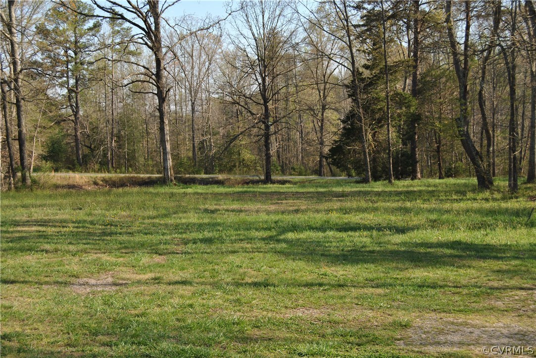 4482 Jericho Road Ruther Glen, VA 22546 - Photo 21 of 32 a backyard of a house with lots of green space