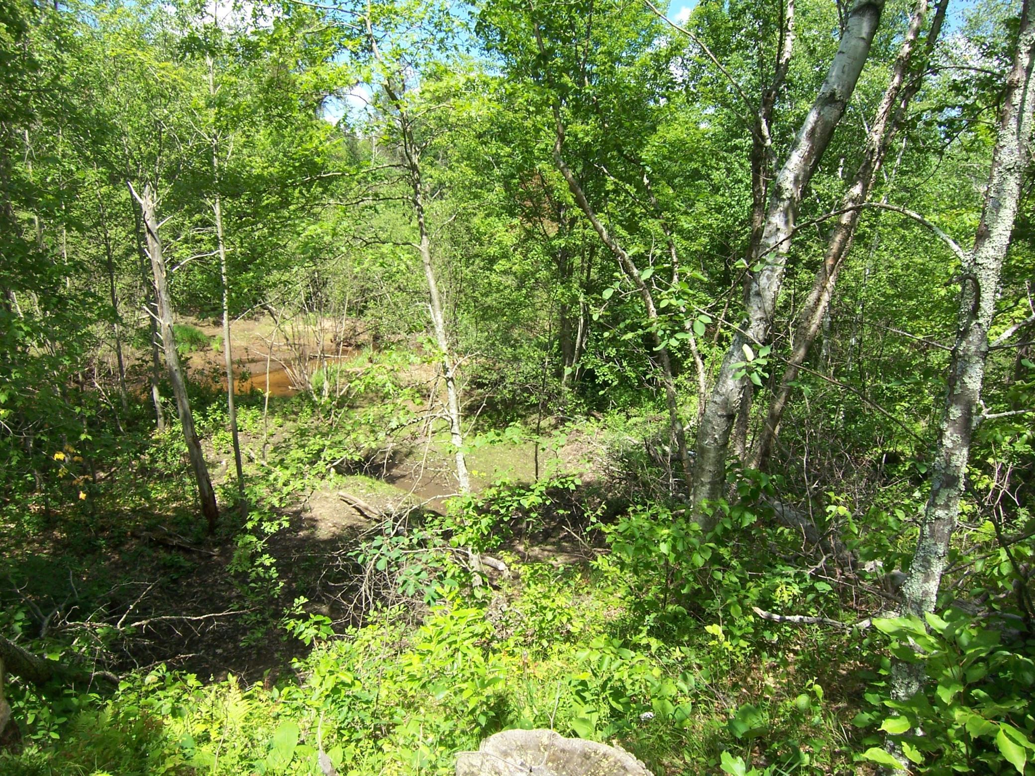 Lot 4 Ashtons Way Webster, WI 54893 - Photo 1 of 1
