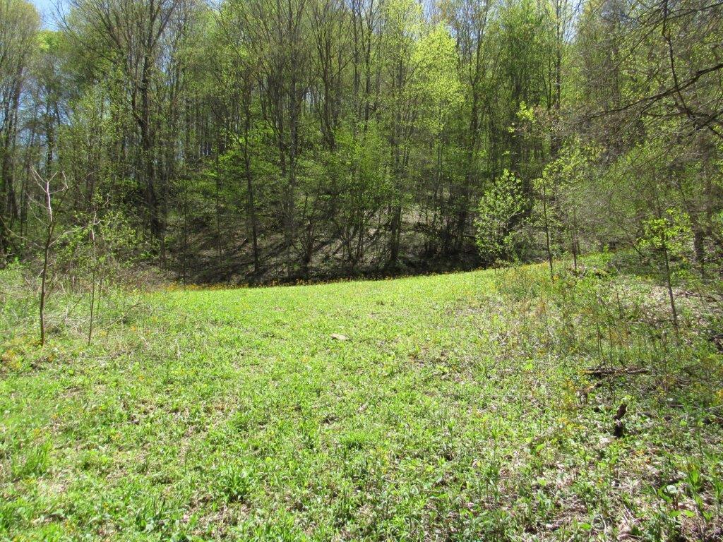 Lot 9 Panther Branch Road, Unit 9 Bandy, VA 24602 - Photo 17 of 21 IMG_1703