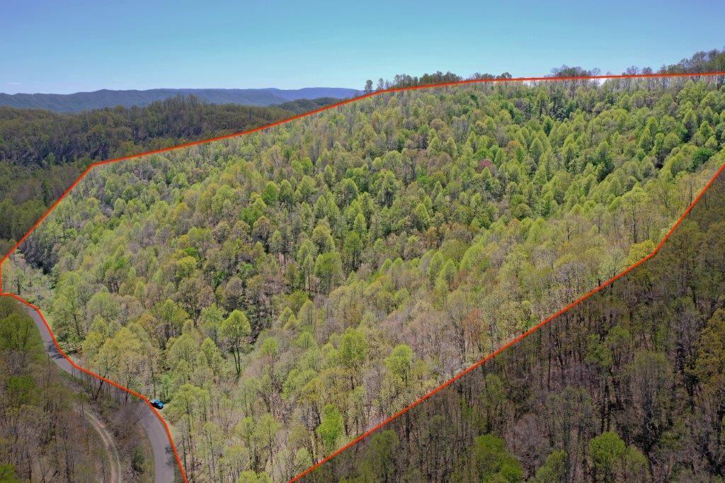 Lot 9 Panther Branch Road, Unit 9 Bandy, VA 24602 - Photo 3 of 21 DJI_0542