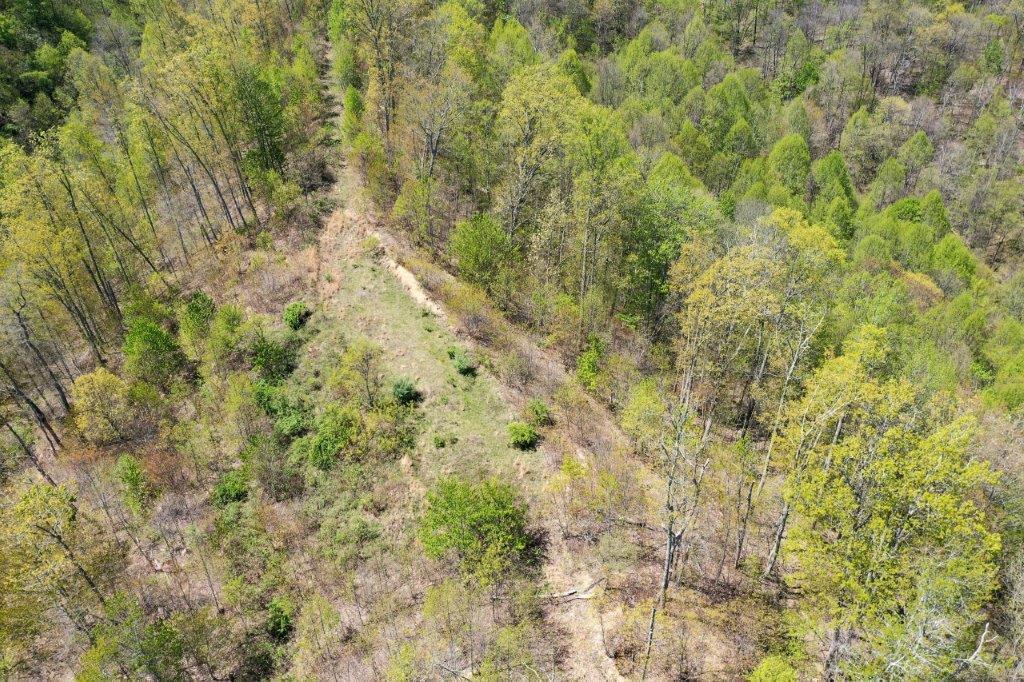 Lot 9 Panther Branch Road, Unit 9 Bandy, VA 24602 - Photo 8 of 21 DJI_0548