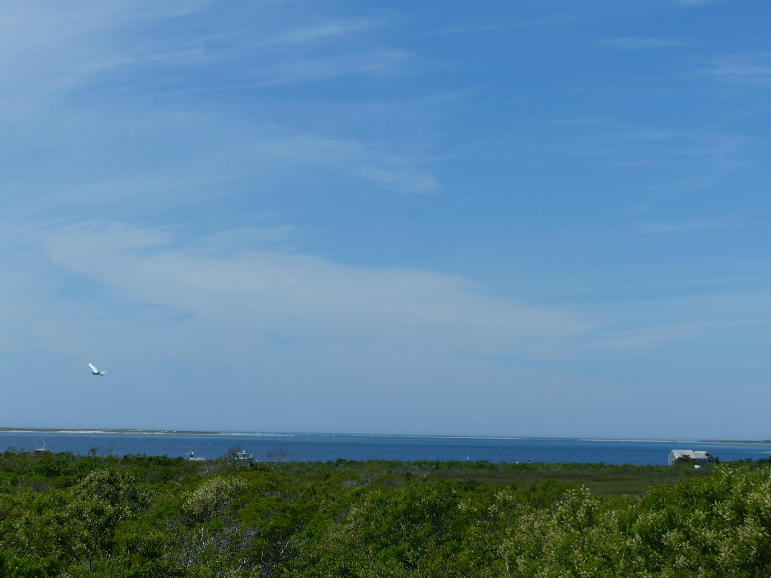 44 Warrens Landing Road Nantucket, MA 02554 - Photo 1 of 18 View of Eel Point