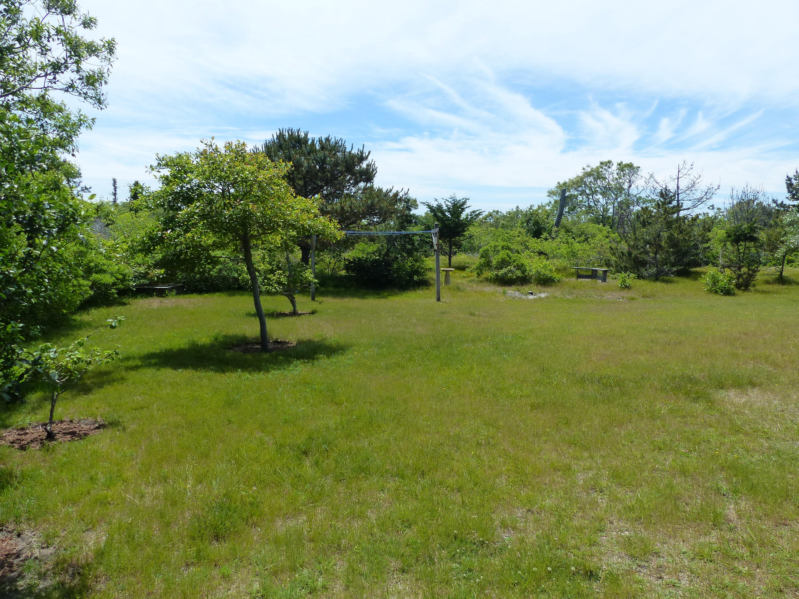 44 Warrens Landing Road Nantucket, MA 02554 - Photo 16 of 18 yard 1