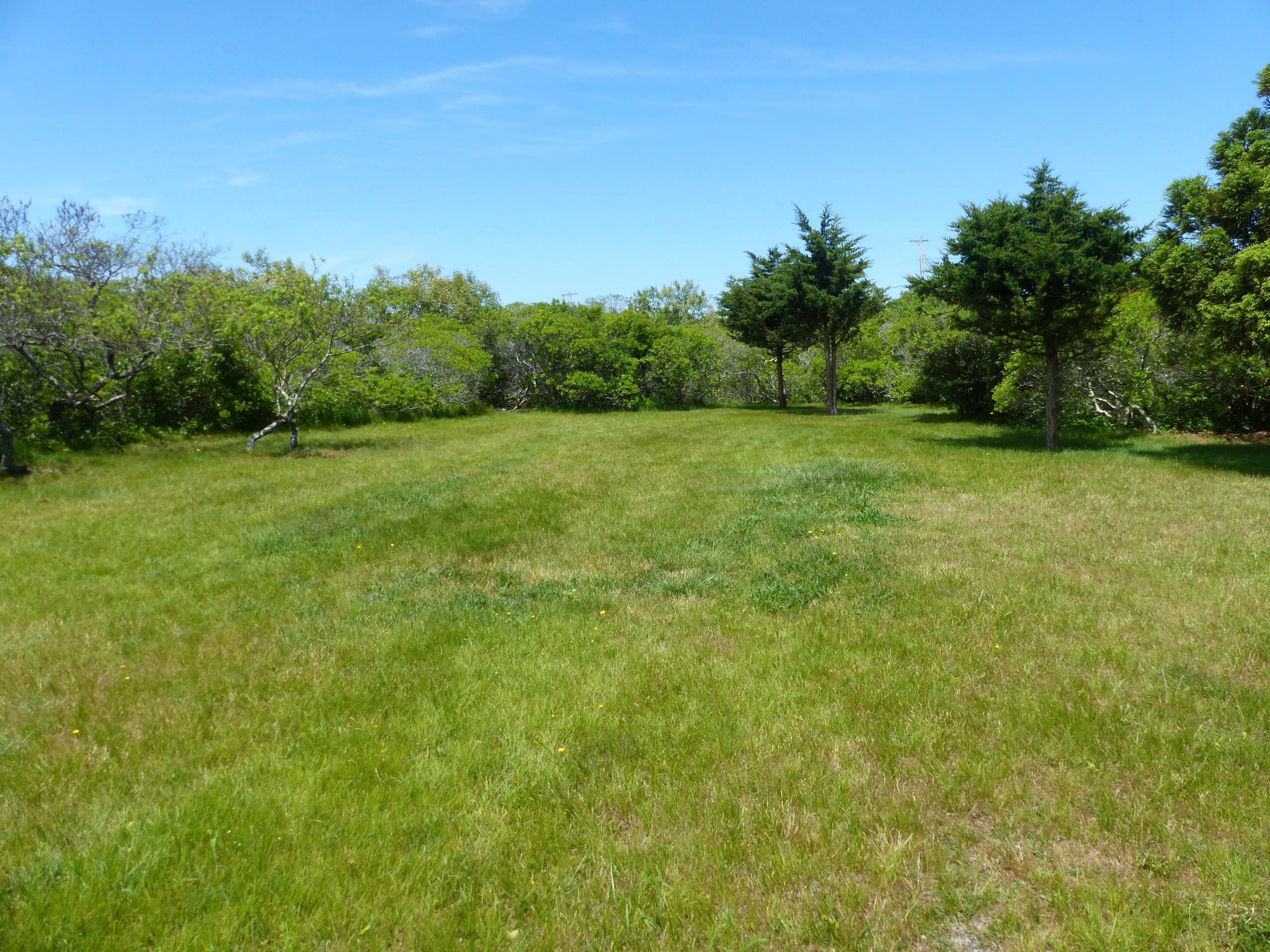 44 Warrens Landing Road Nantucket, MA 02554 - Photo 17 of 18 P1030019