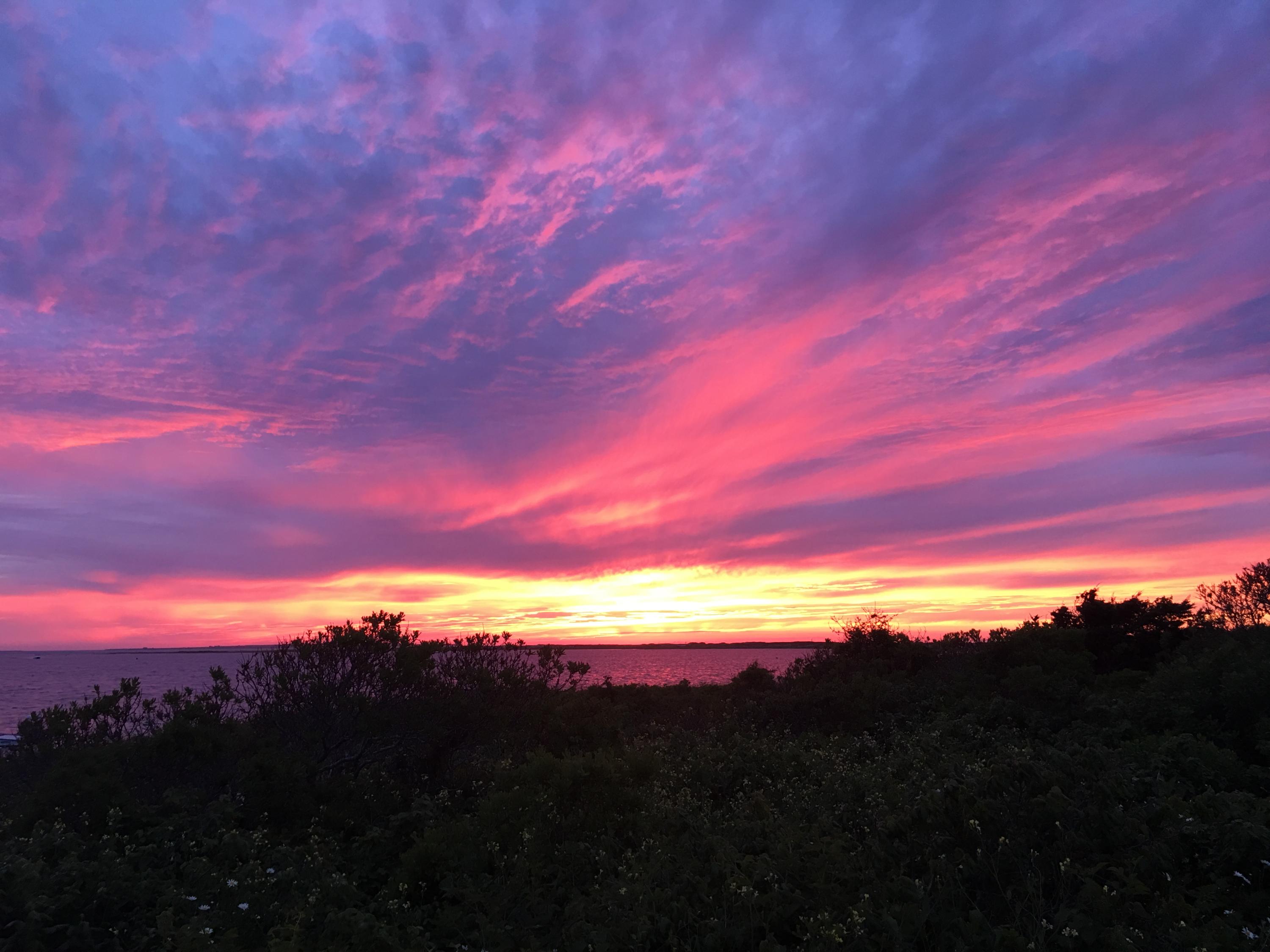 44 Warrens Landing Road Nantucket, MA 02554 - Photo 6 of 18 IMG_2864