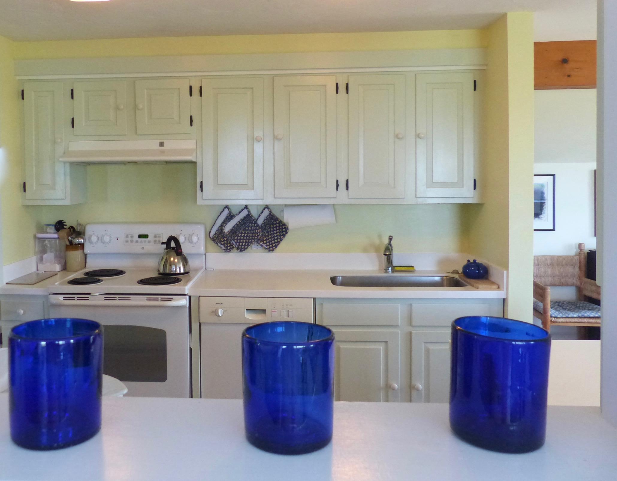 44 Warrens Landing Road Nantucket, MA 02554 - Photo 9 of 18 P1030049 (1)