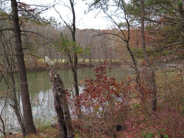 0 Forest Road Hustontown, PA 17229 - Photo 21 of 25 Gallery Image 21