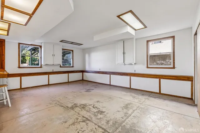 a view of a yard with plants and large trees