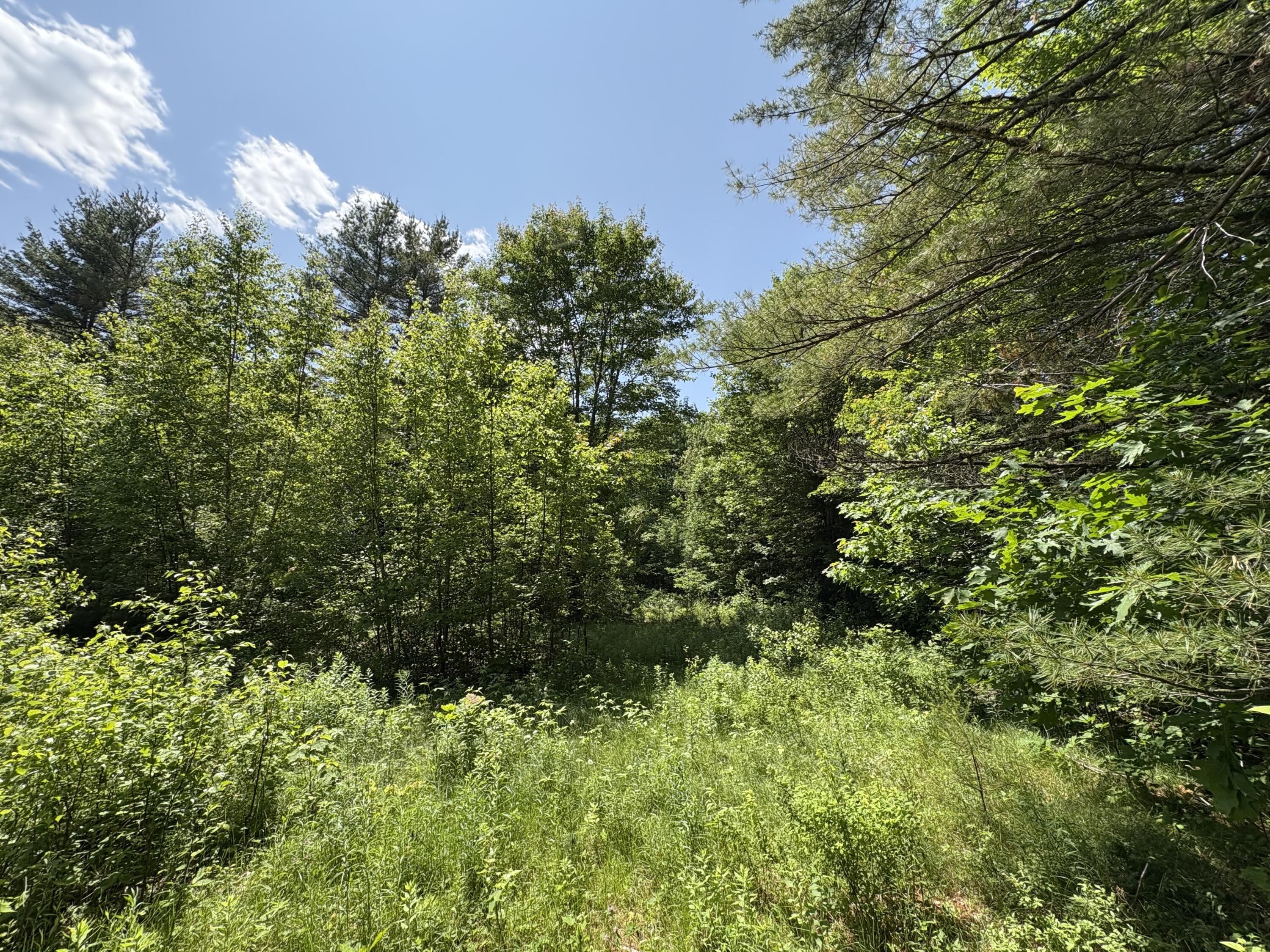 Pe040-15a Andrews Road Wytopitlock, ME 04497 - Photo 29 of 35 IMG_2247