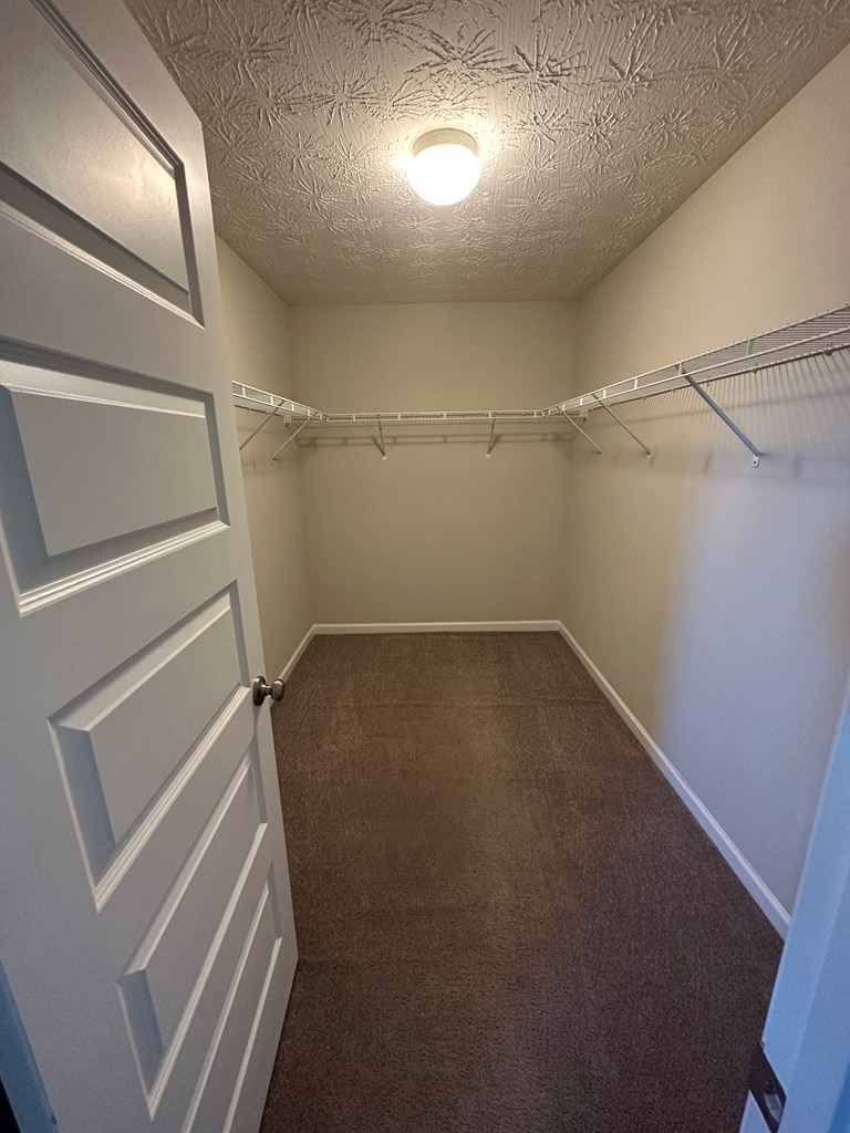 6008 Townes Way Columbus, GA 31909 - Photo 16 of 22 a view of an empty walk in closet