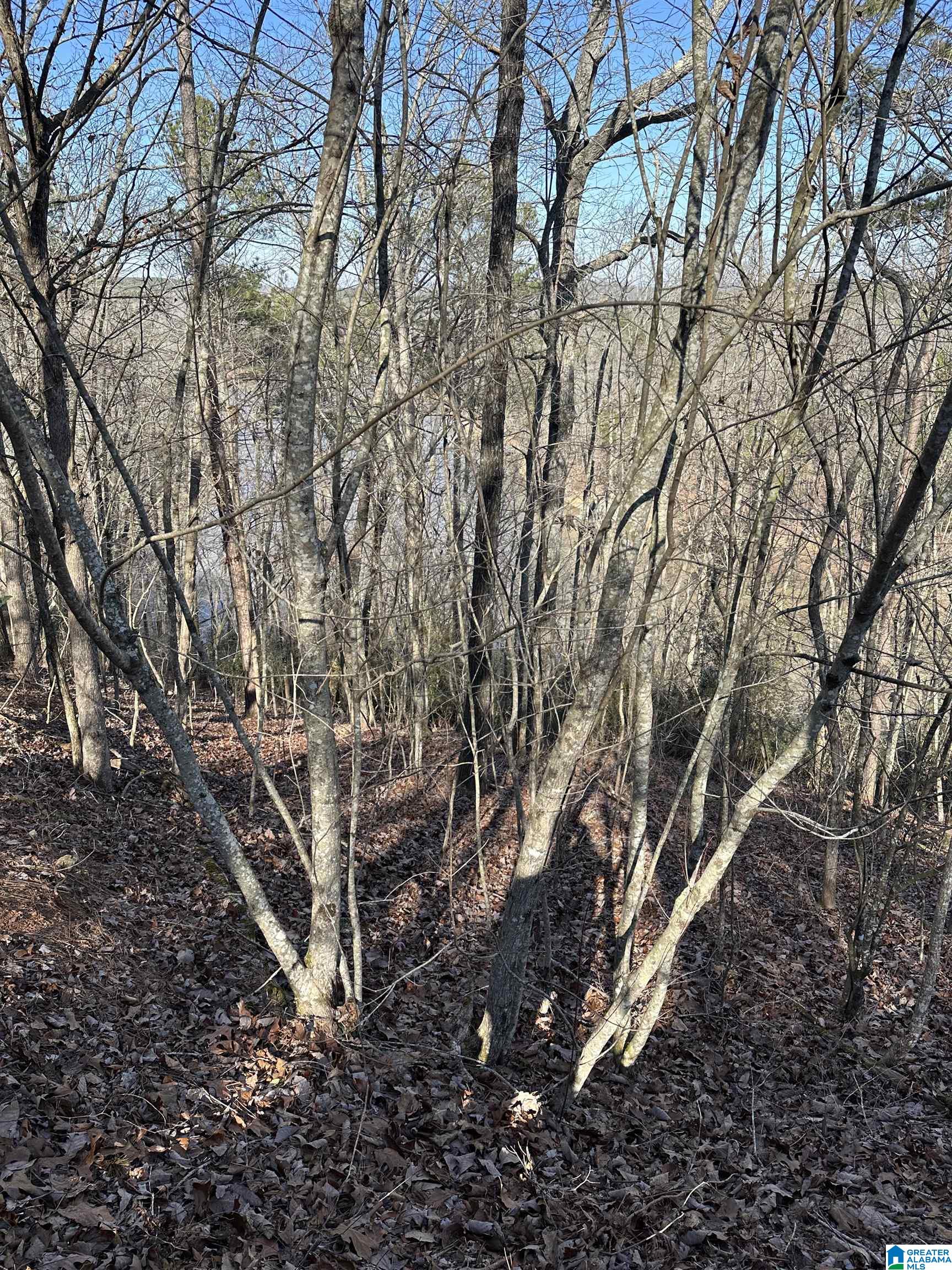 10 Montanas Way, Unit 2 Lineville, AL 36266 - Photo 3 of 6