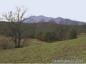 Lot#51 A R Thompson Road, Unit 51 Mill Spring, NC 28756 - Photo 4 of 4 a view of a dry yard with mountain