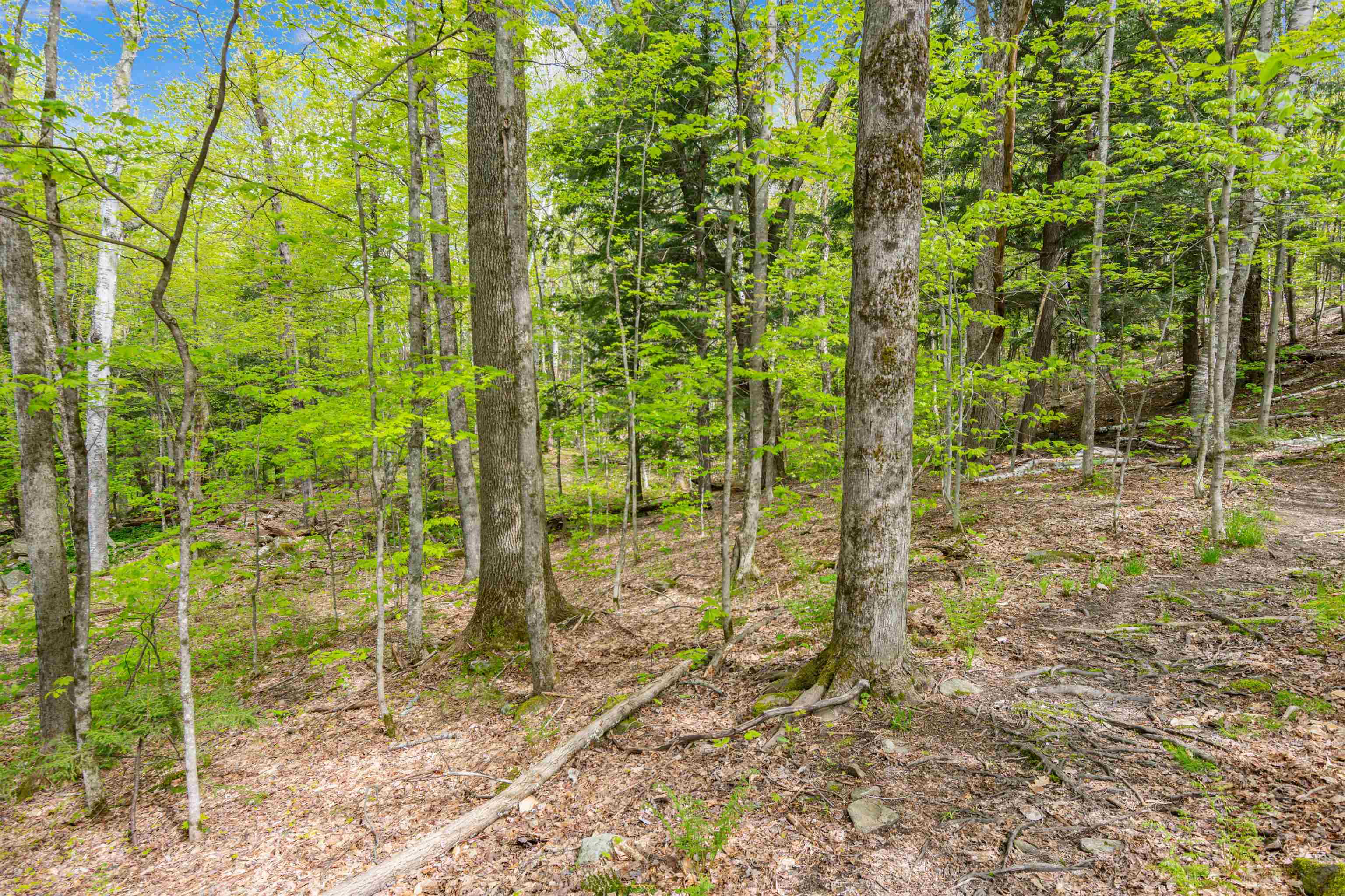 0 Phen Basin Road Waitsfield, VT 05673 - Photo 7 of 10