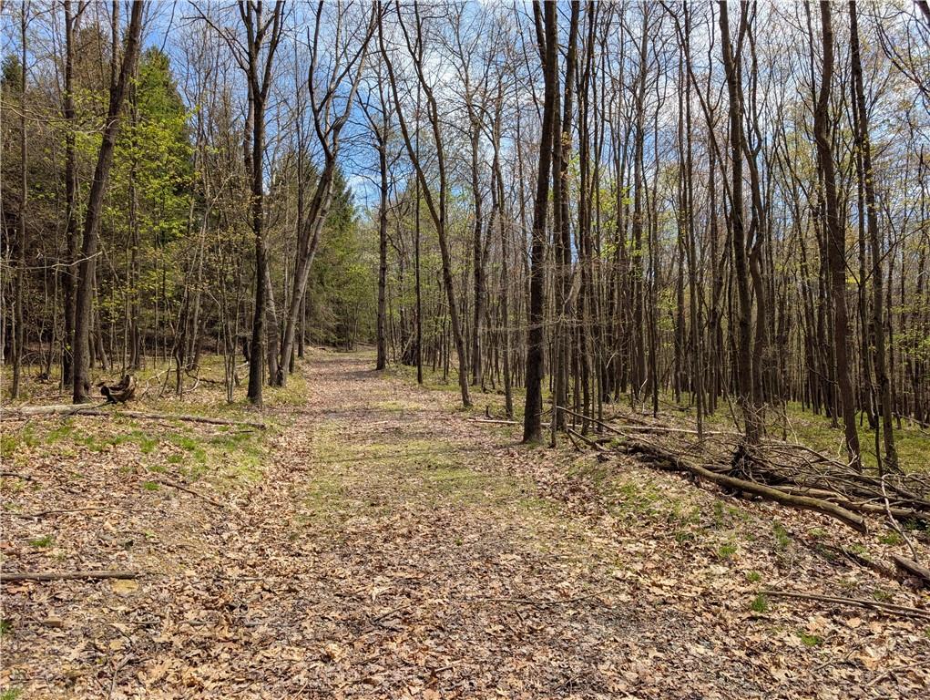 435 Daubenspeck Road Parker, PA 16049 - Photo 2 of 8 a backyard of a house with lots of green space