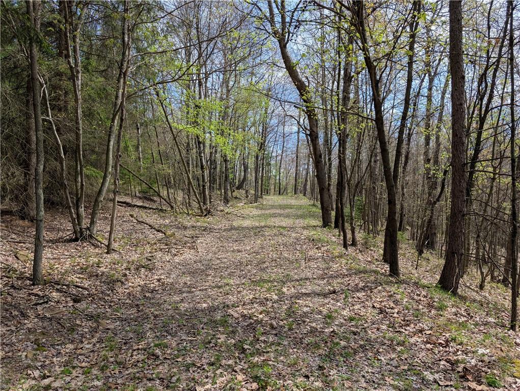 435 Daubenspeck Road Parker, PA 16049 - Photo 3 of 8 a view of outdoor space with trees