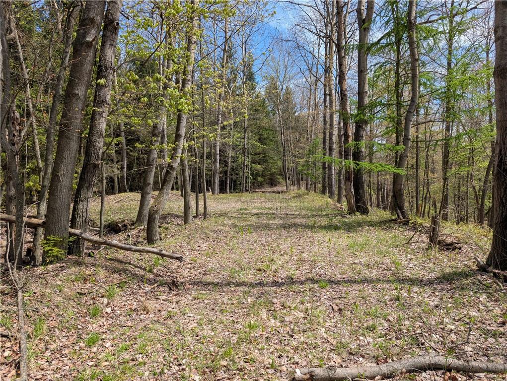 435 Daubenspeck Road Parker, PA 16049 - Photo 4 of 8 a view of outdoor space with trees