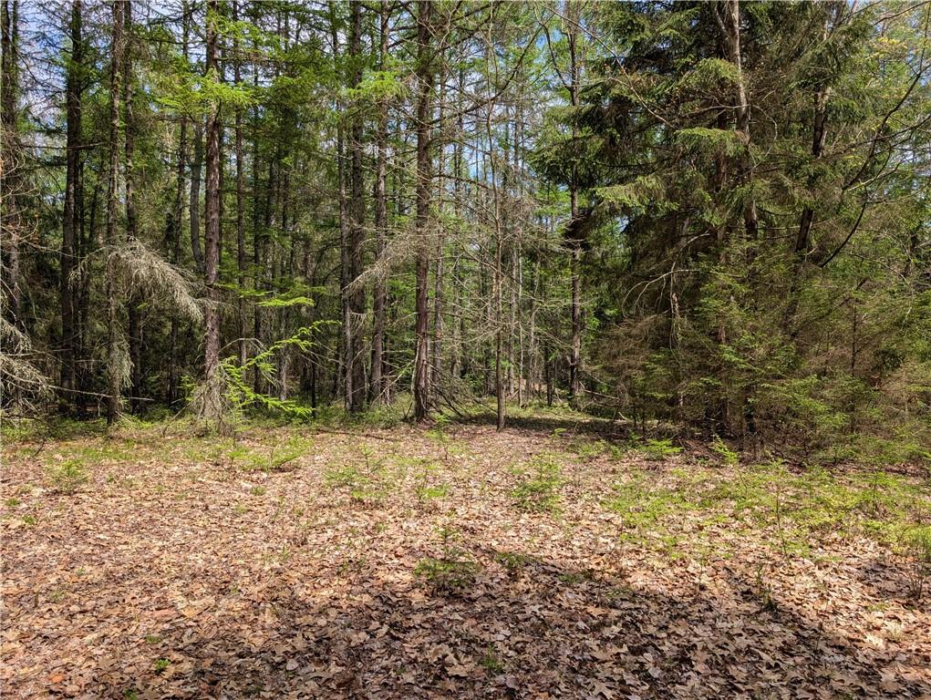 435 Daubenspeck Road Parker, PA 16049 - Photo 6 of 8 a view of a yard with a tree