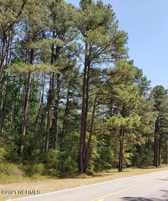 4 Peach Orchard Road Wagram, NC 28396 - Photo 1 of 3 Beautiful golf course lot