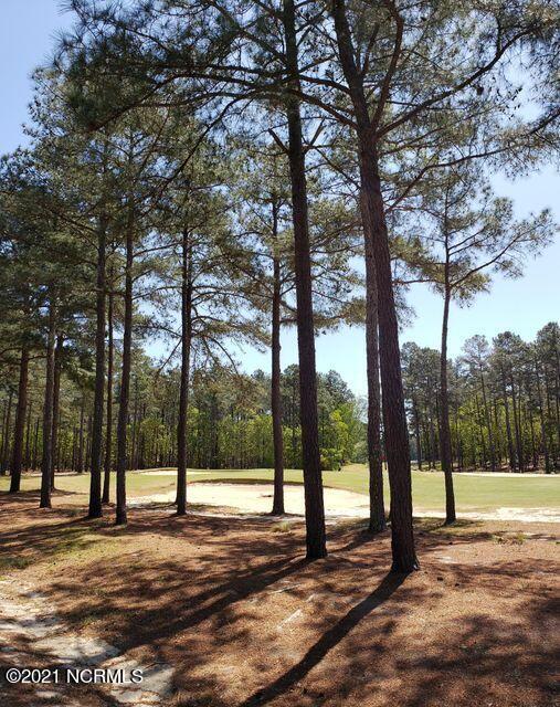 4 Peach Orchard Road Wagram, NC 28396 - Photo 2 of 3 View of hole #13 across the street