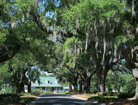 105 Old Course Road Summerville, SC 29485 - Photo 41 of 45 Legend Oaks Clubhouse