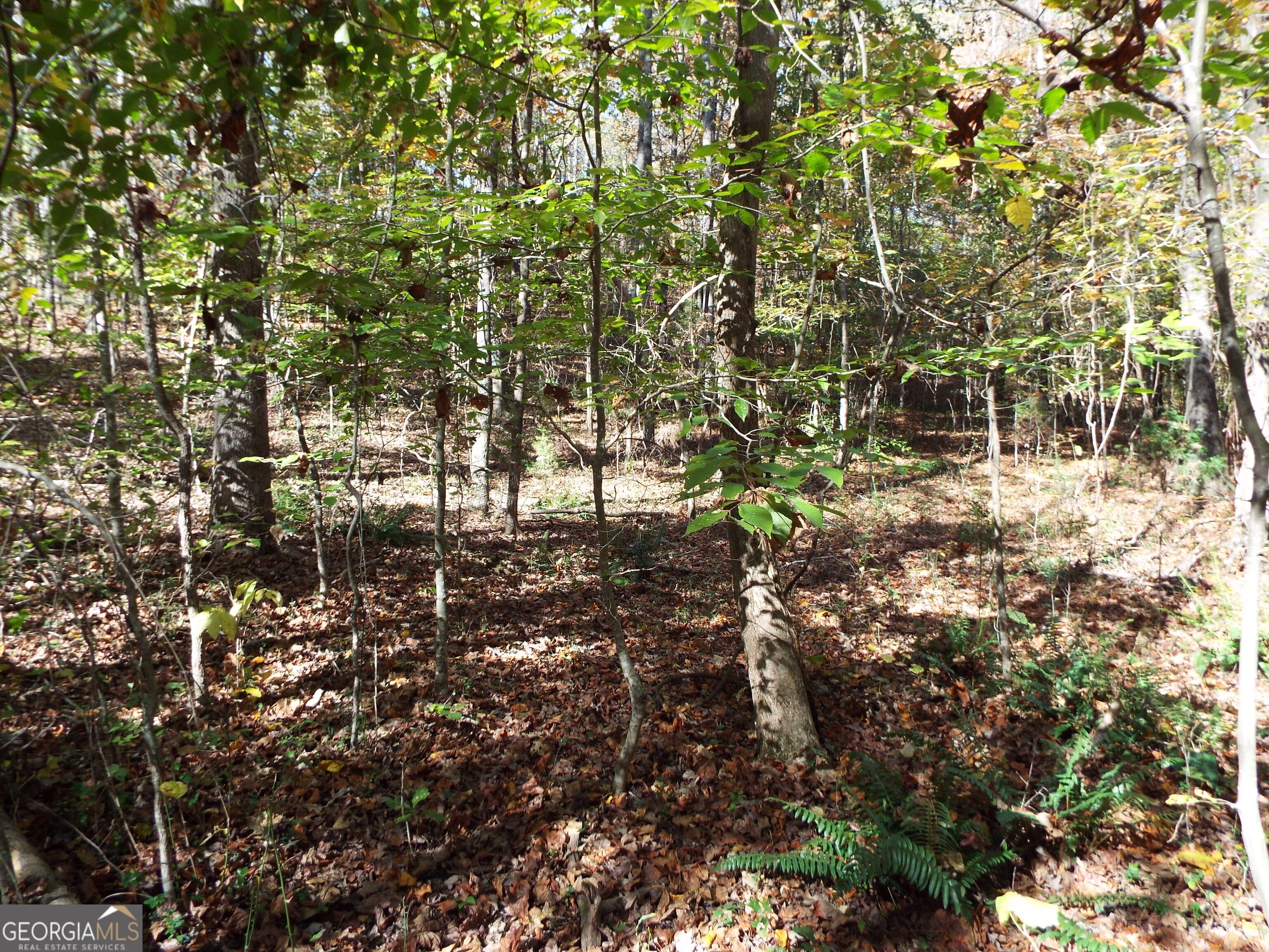 T-2 Dunn Road Molena, GA 30258 - Photo 1 of 1 a view of yard