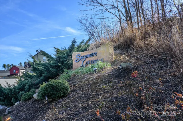 a view of a bunch of plants and trees
