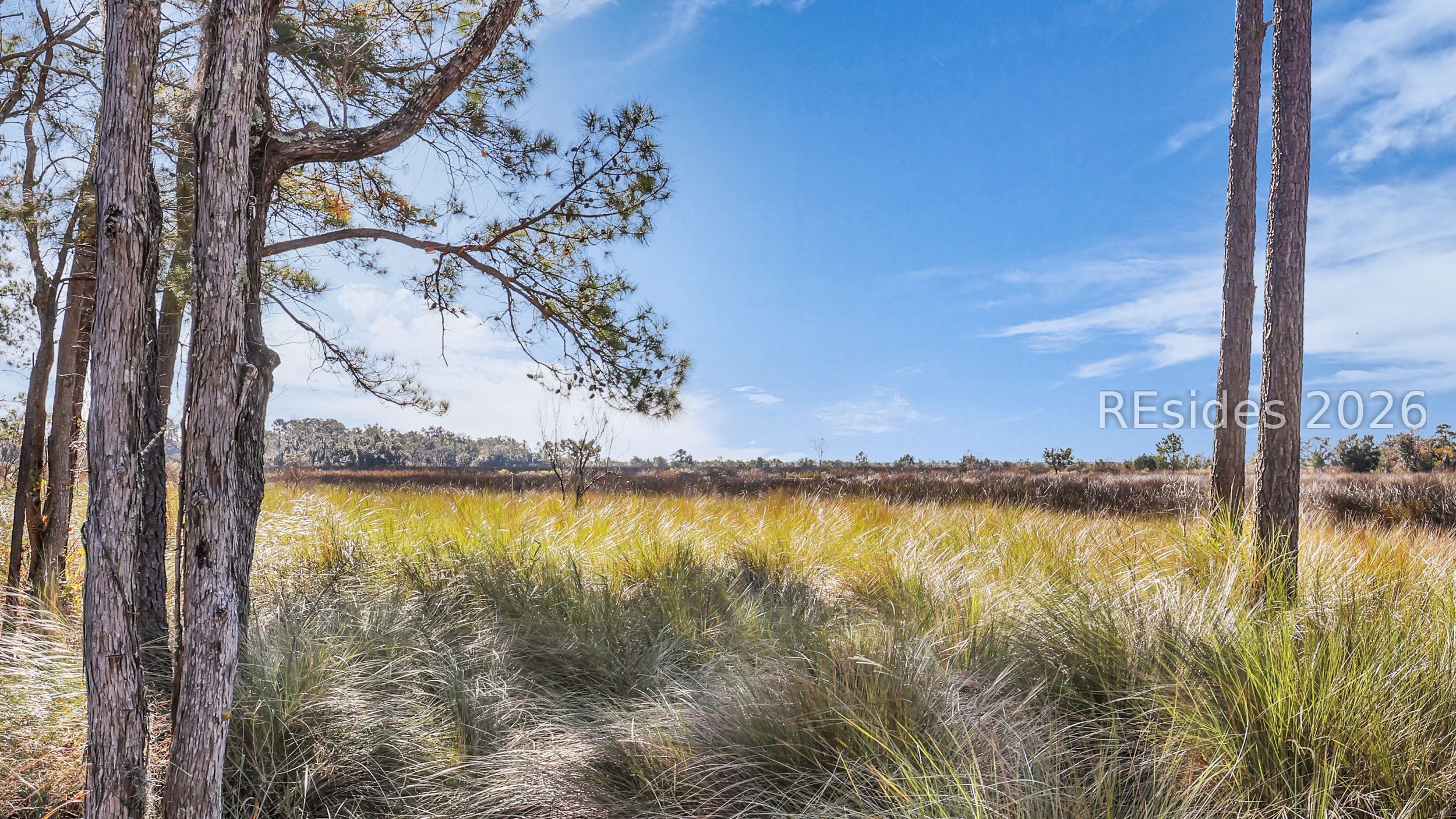 492 Hunters Loop South Hardeeville, SC 29927 - Photo 53 of 63 This isn't a backdrop. It's your backyard!