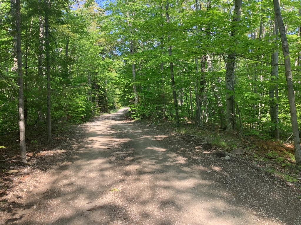 Tbd Timber Trail Washington Island, WI 54246 - Photo 1 of 5